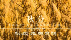 秋分丨晝夜分畫，漸入秋華